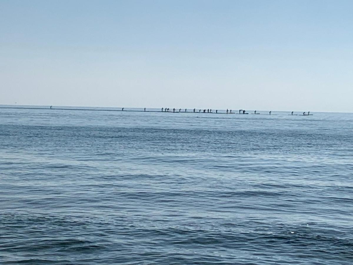 Apartamentoen La Playa, 200 Mts De La Playa Nuevo Santa Pola Exteriér fotografie