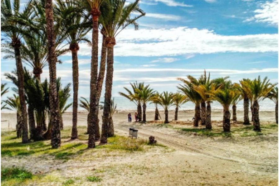 Apartamentoen La Playa, 200 Mts De La Playa Nuevo Santa Pola Exteriér fotografie